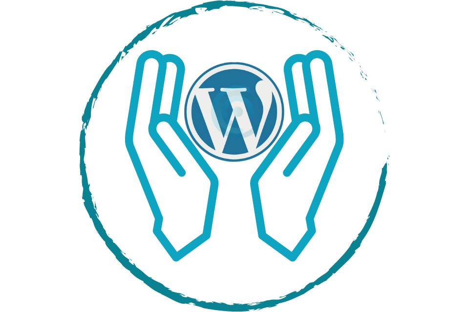 Opieka WordPress Lublin - oferta od Webist